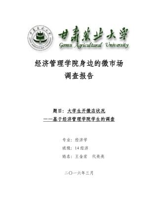 微市场调查报告-文库大全