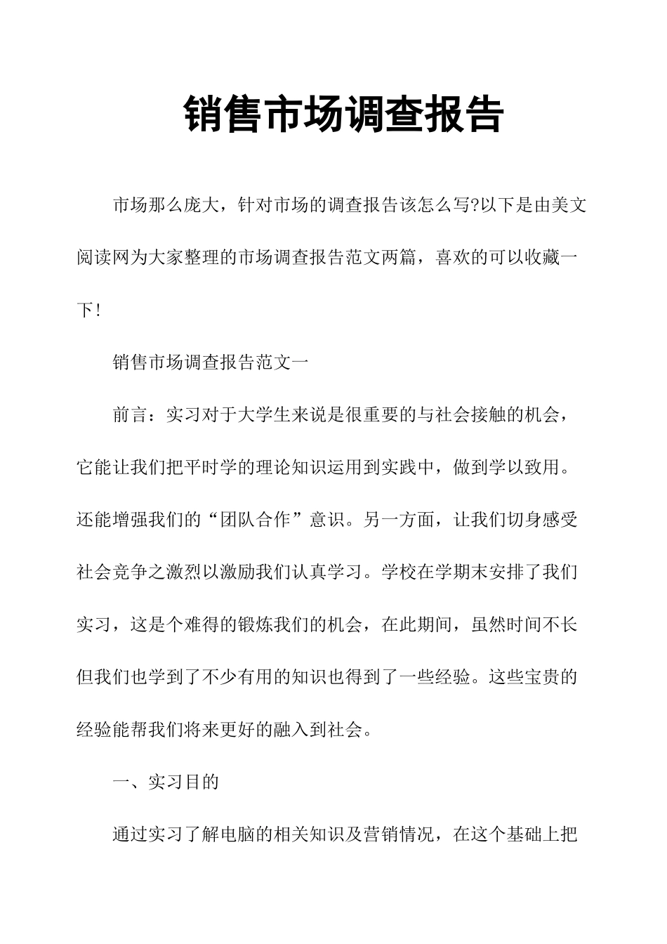 销售市场调查报告-文库大全_第1页