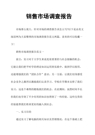 销售市场调查报告-文库大全