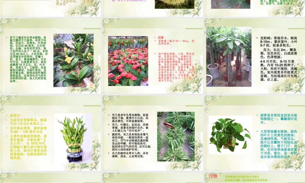 花卉市场调研报告-文库大全