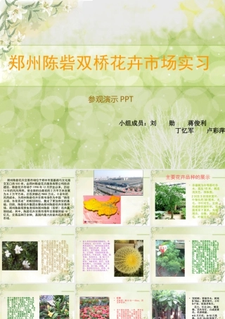 花卉市场调研报告-文库大全