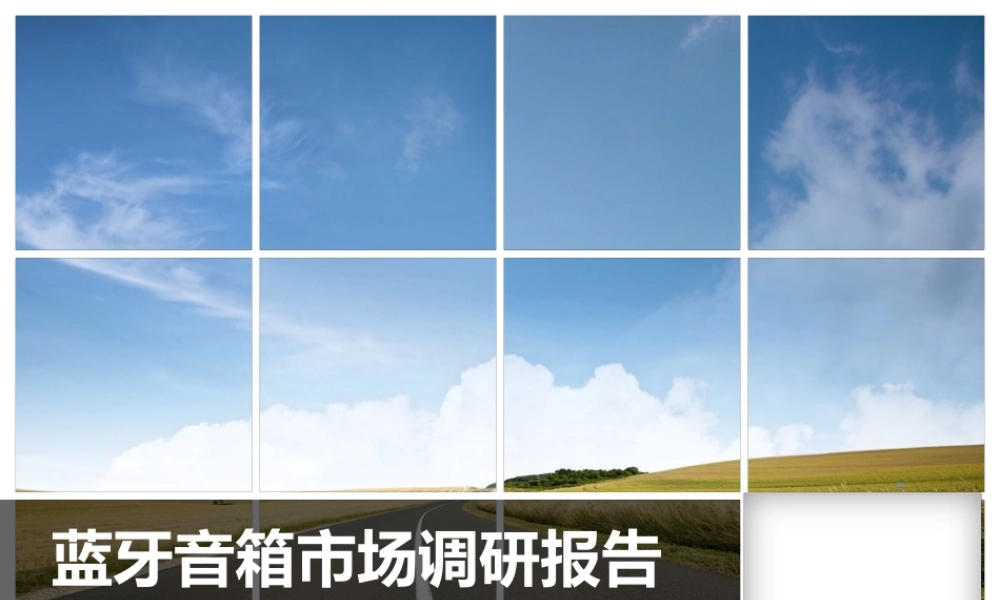 蓝牙音箱市场调研报告-文库大全