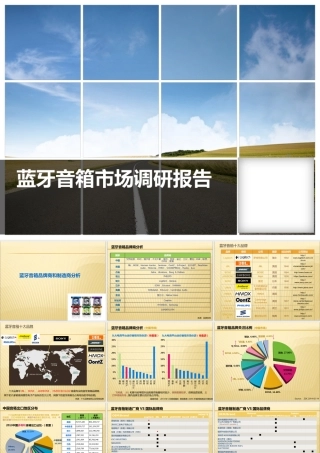 蓝牙音箱市场调研报告-文库大全