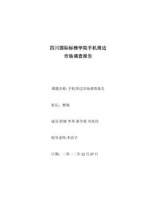 手机周边市场调查报告-文库大全