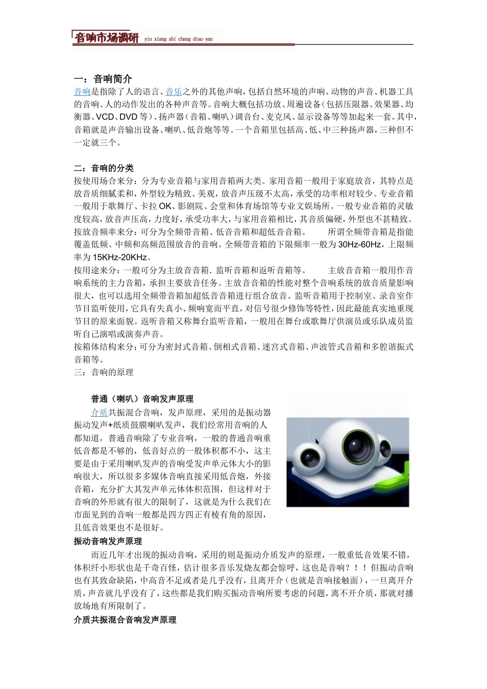 音响调研报告-文库大全_第2页