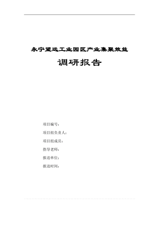 永宁望远工业园区产业集聚效益调研-文库大全