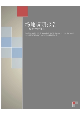 场地调研报告-文库大全