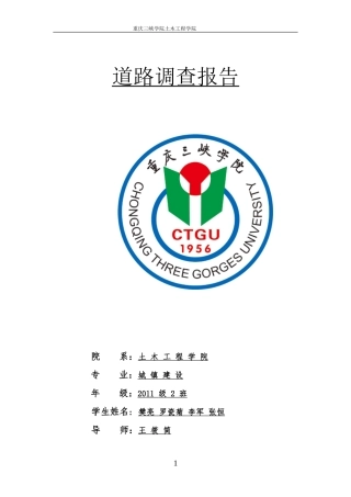道路调查报告-文库大全