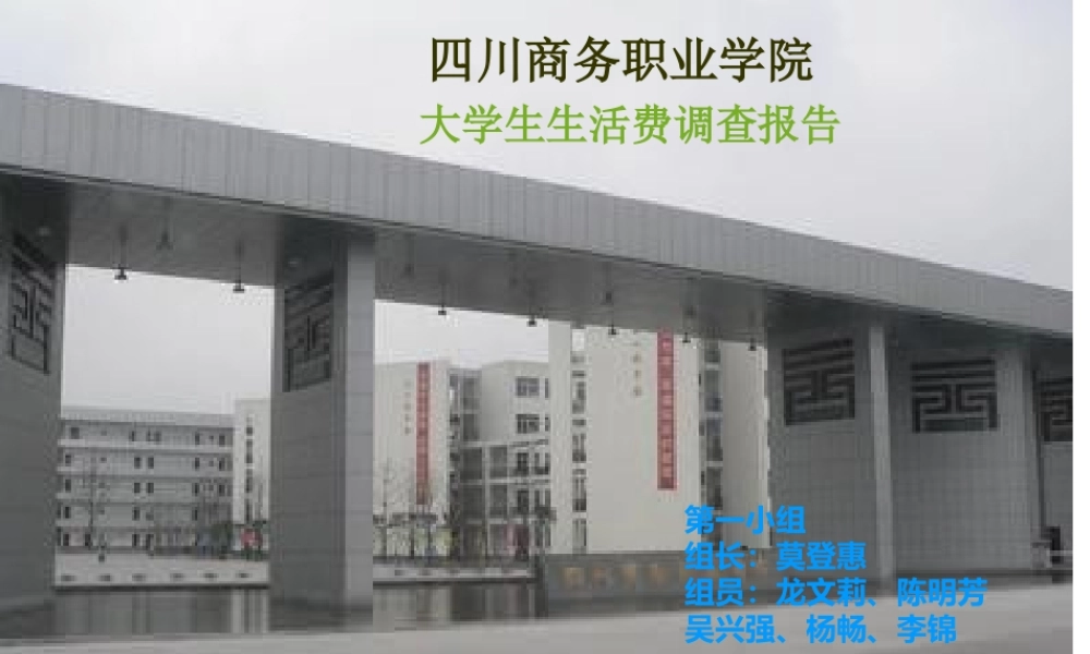 调查报告PPT-文库大全