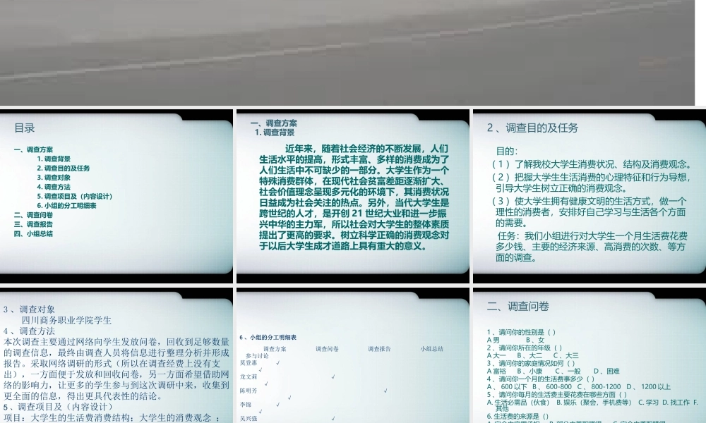 调查报告PPT-文库大全