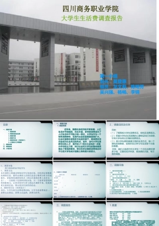 调查报告PPT-文库大全