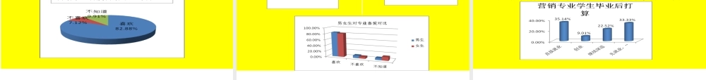 调查报告的PPT展示-文库大全