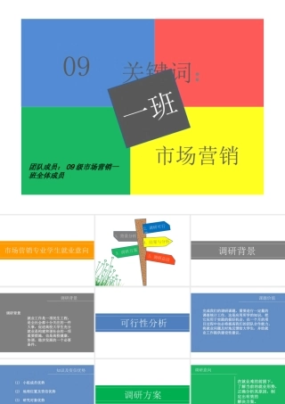 调查报告的PPT展示-文库大全