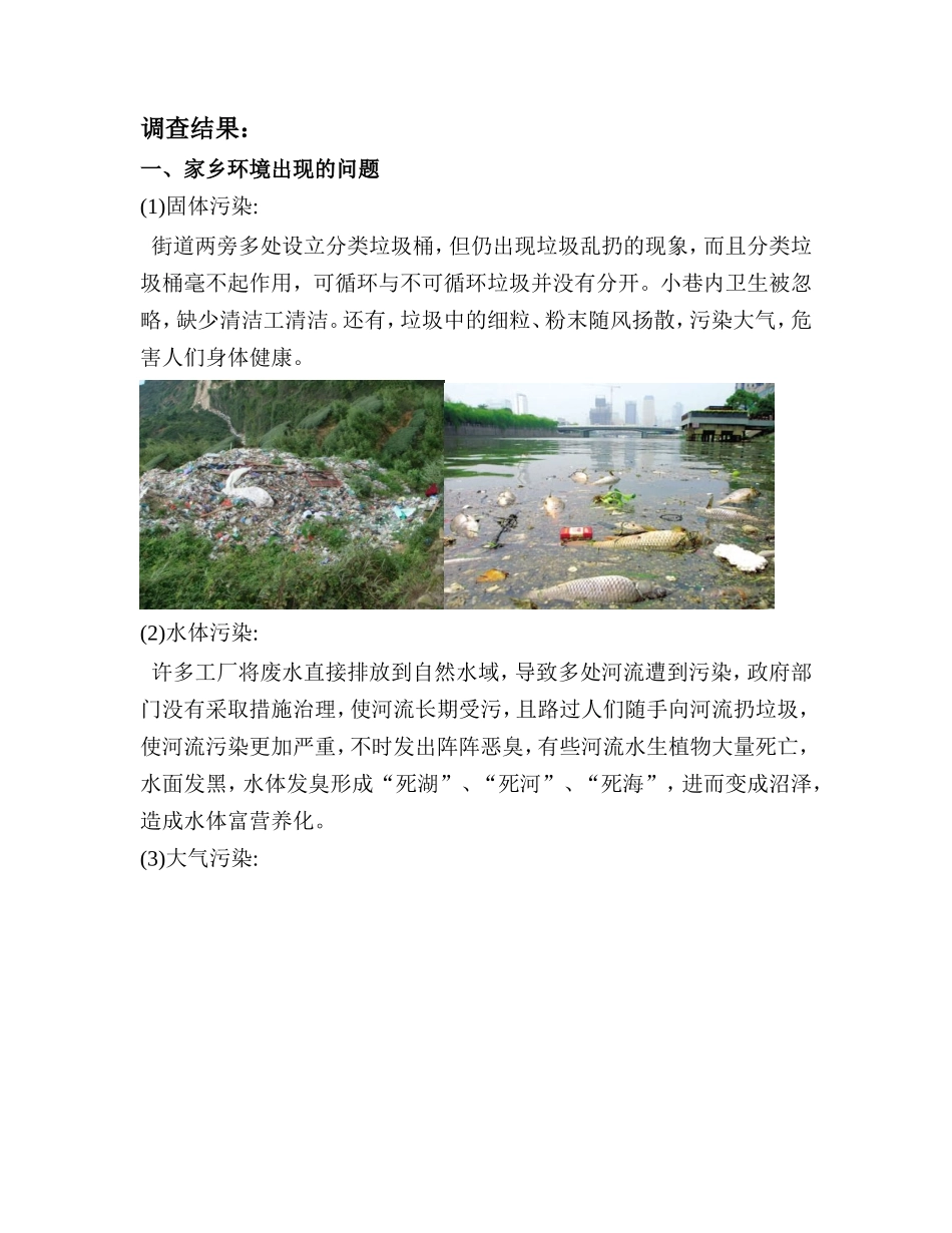 家乡环境污染调查报告-文库大全_第2页
