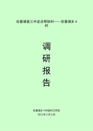 驻村工作调研报告-文库大全