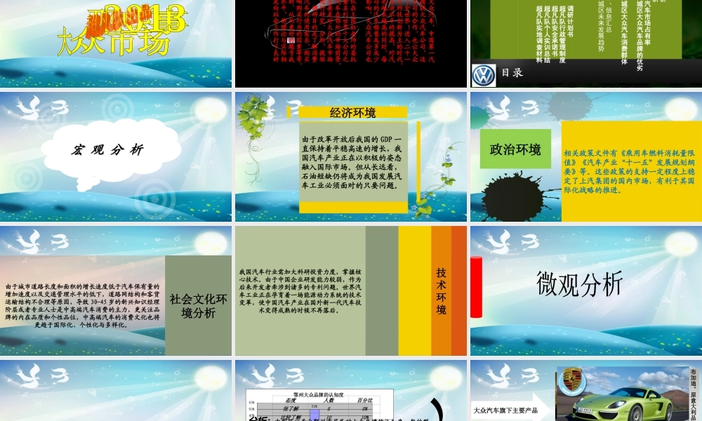 汽车市场调研报告-文库