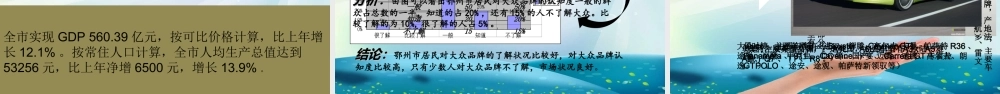 汽车市场调研报告-文库