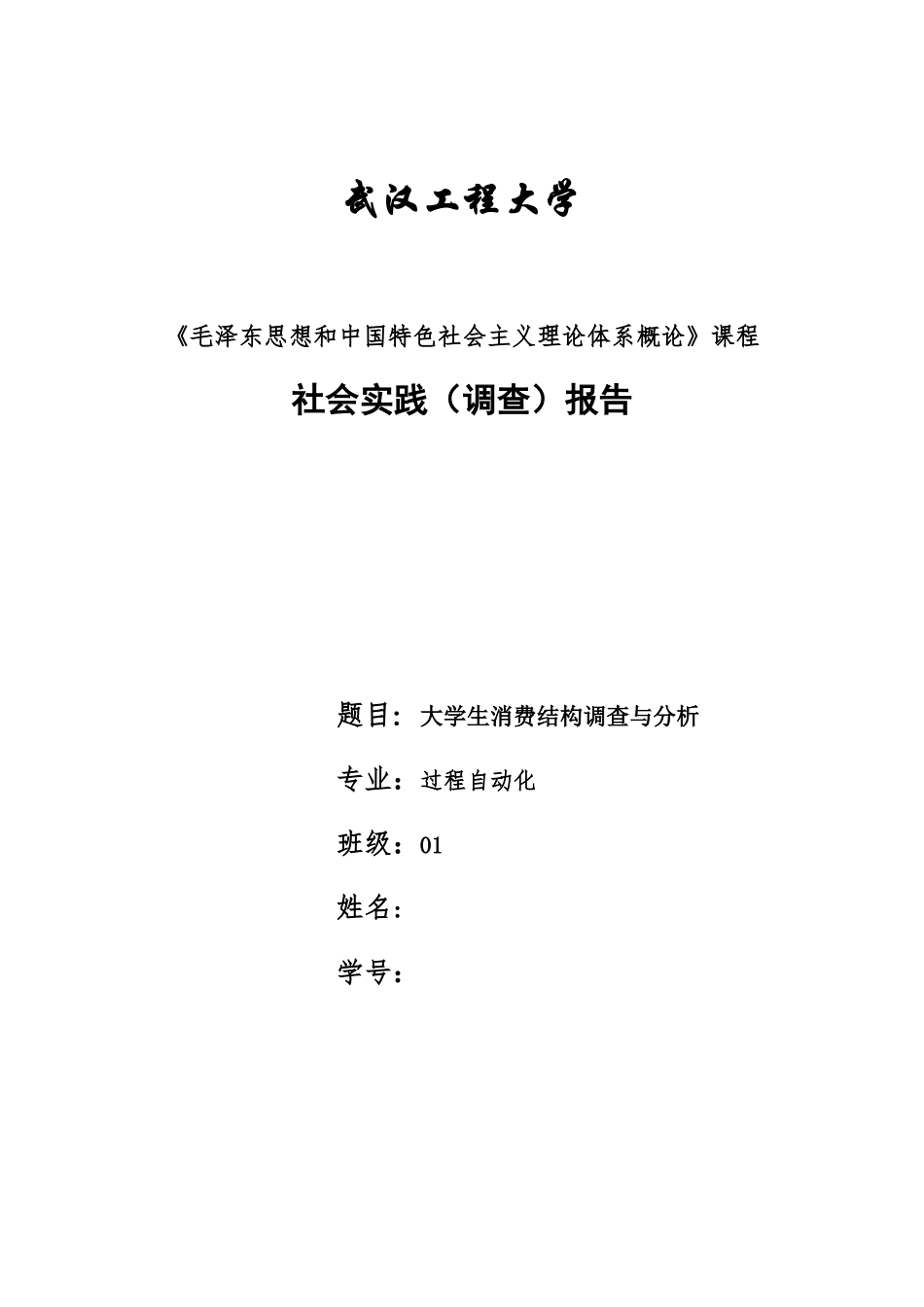 毛概社会实践调查报告范文-文库-维密_第1页
