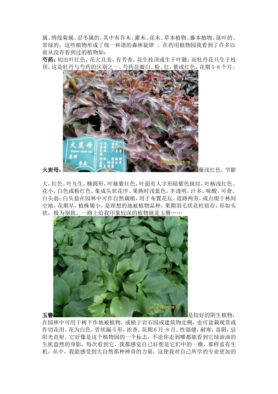 北方园林认知实习报告5000字_第2页