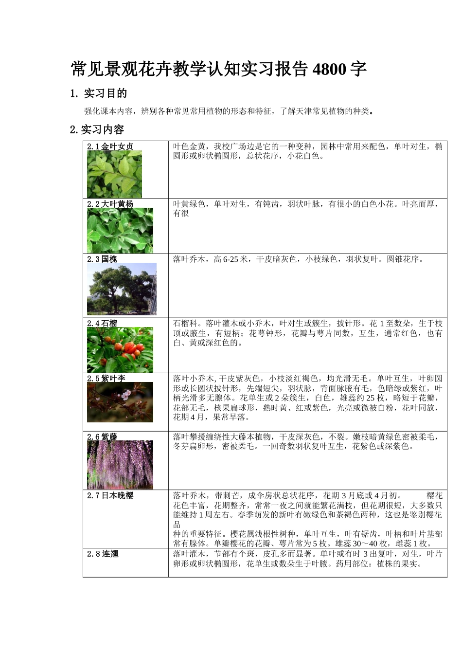 常见景观花卉教学认知实习报告4800字_第1页