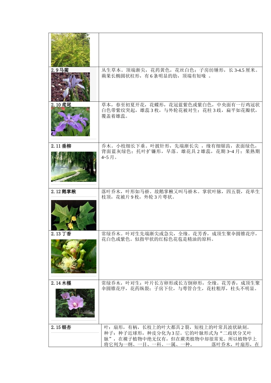 常见景观花卉教学认知实习报告4800字_第2页