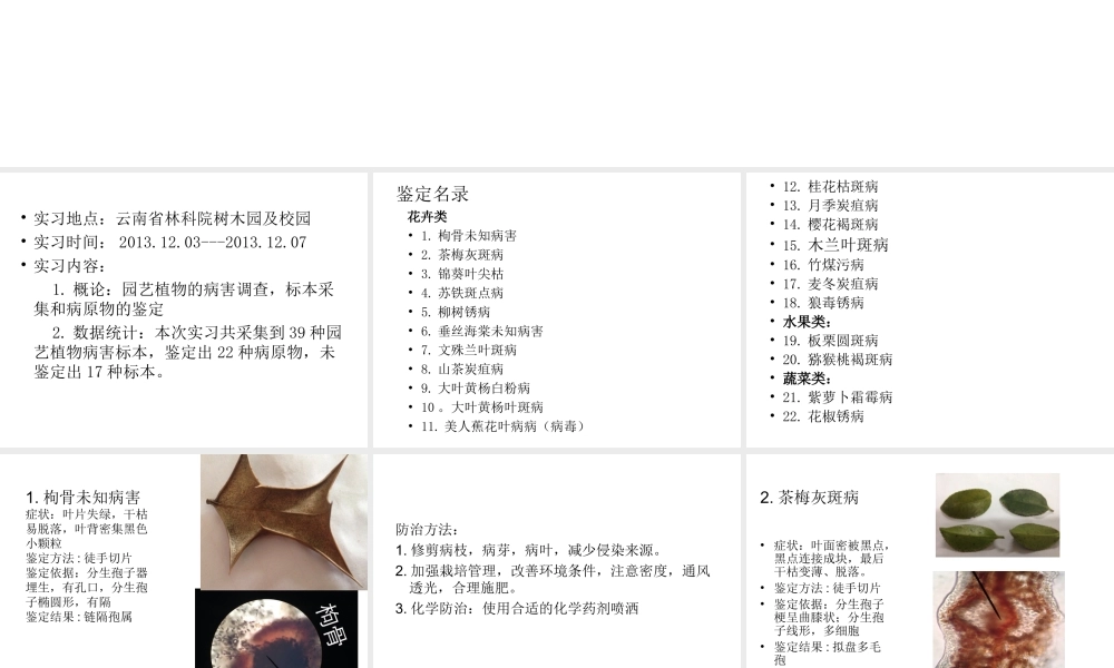 园艺植物病理学实习汇报ＰＰＴ