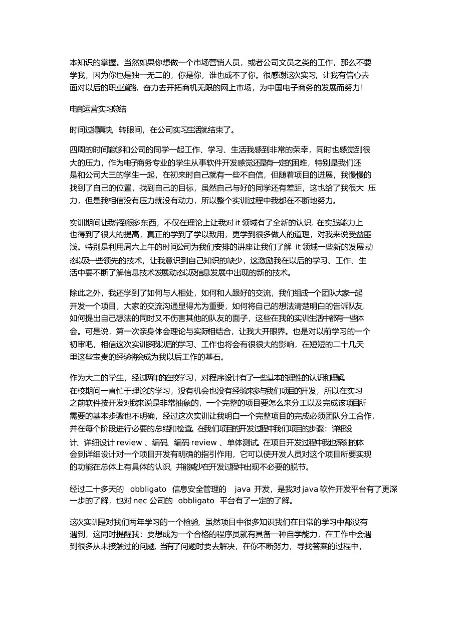 电商运营实习总结_第2页