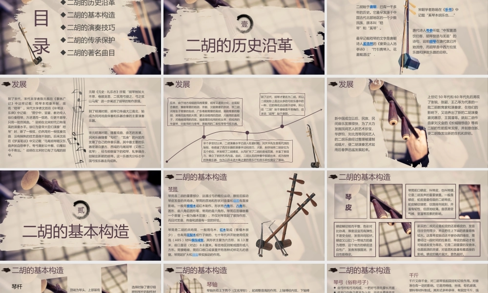 中国非物质文化遗产二胡介绍