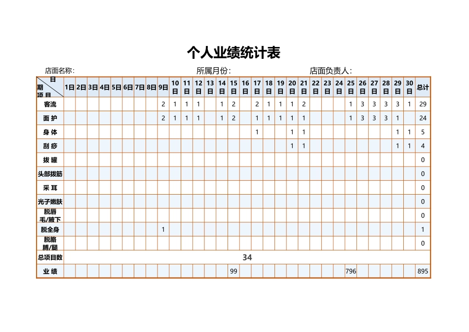个人业绩统计表 _第1页