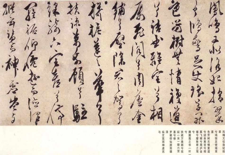 (明)陈淳草书宋之问秋莲赋_第2页