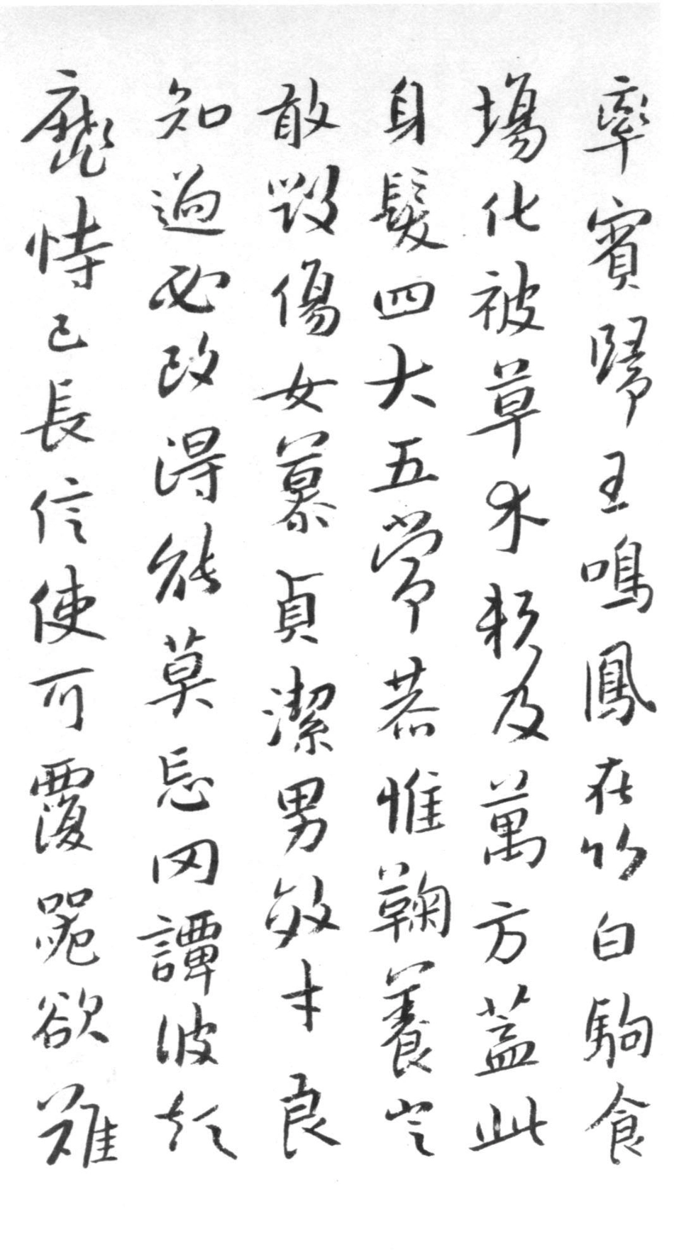 (明)朱耷(八大山人)行书千字文_第3页