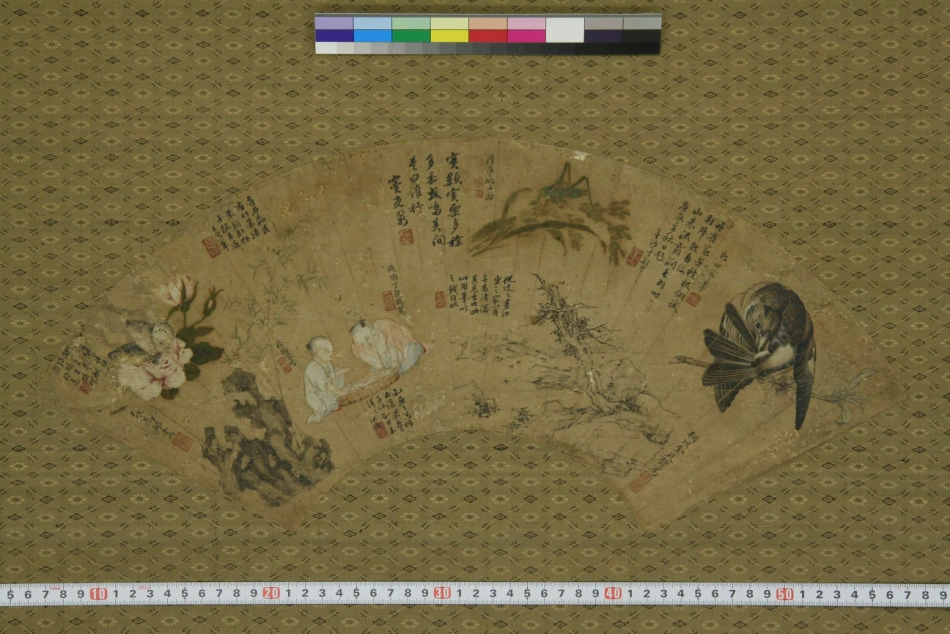 (清)郎世宁等宫廷书画家合作扇面_第1页
