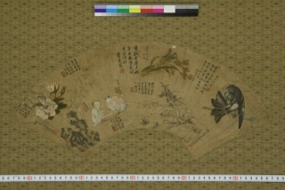 (清)郎世宁等宫廷书画家合作扇面