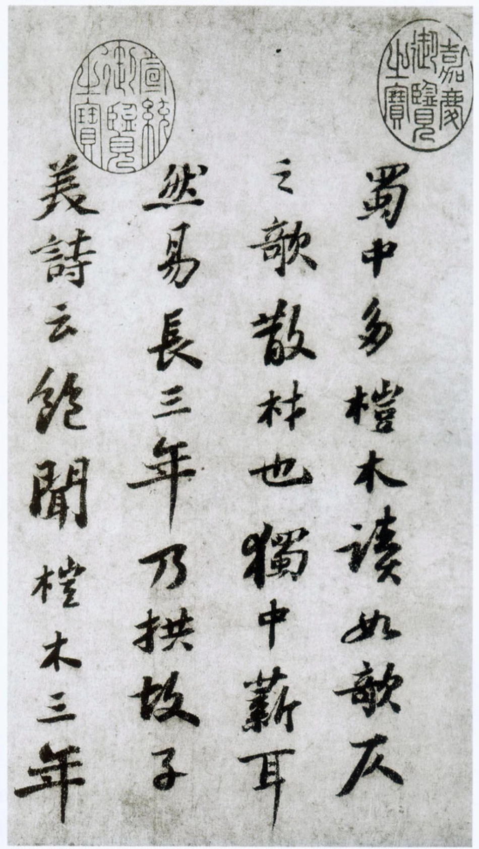 (宋)苏轼行书杜甫桤木诗卷帖_第3页