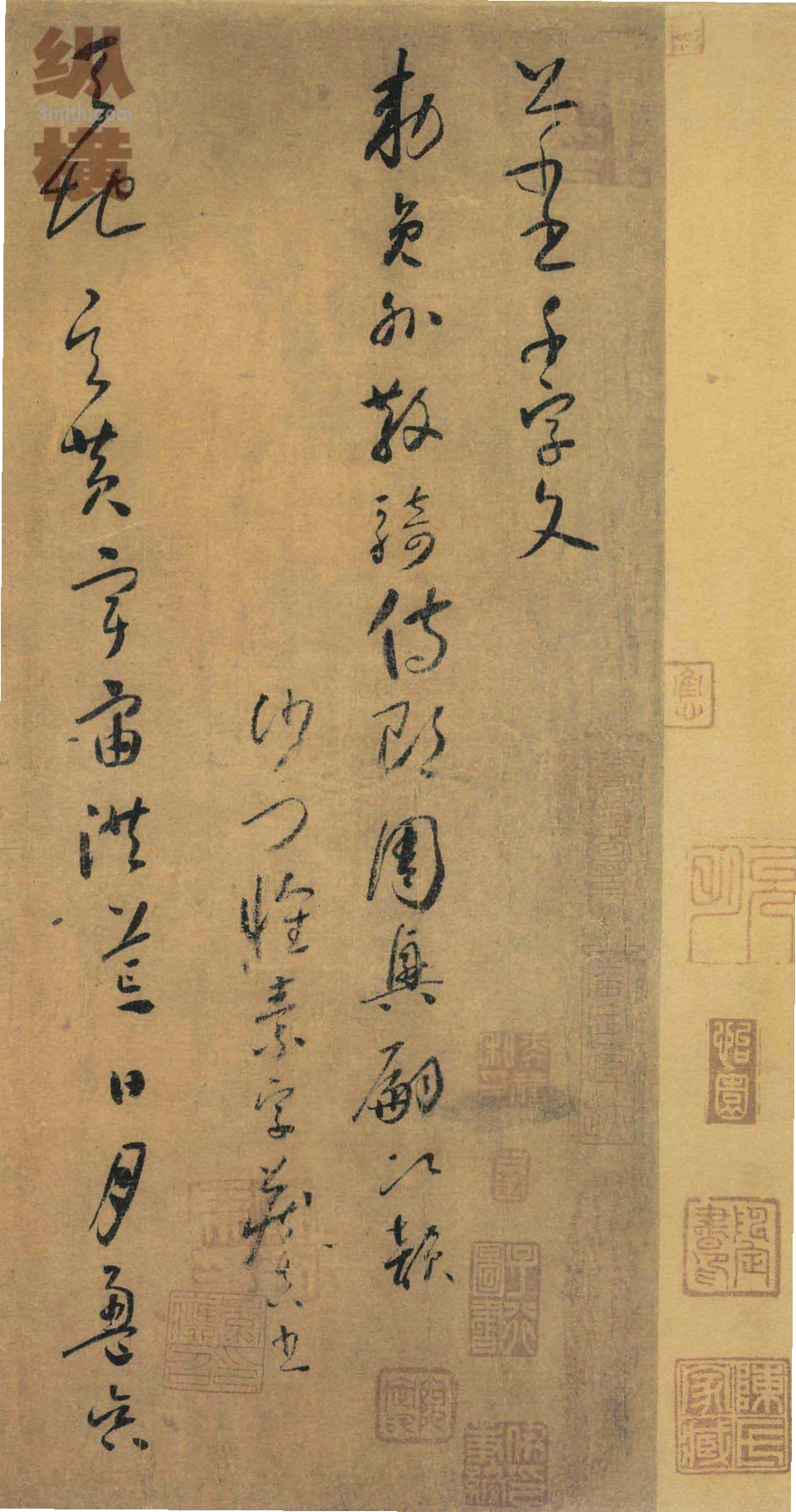 (唐)怀素小草千字文_第1页