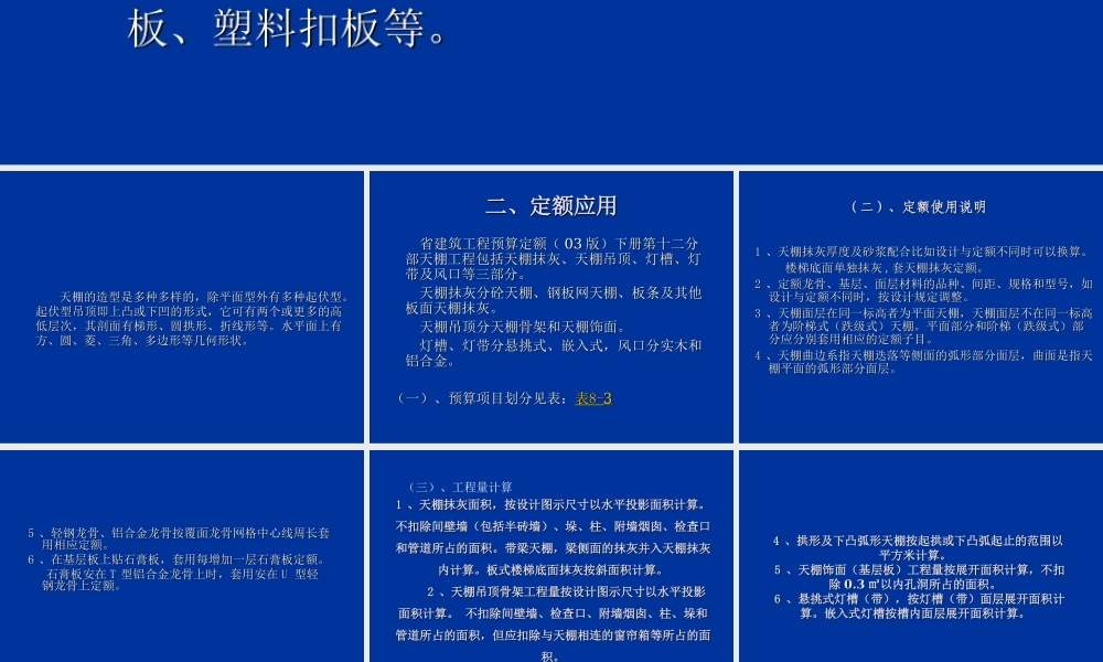 第13 天棚工程