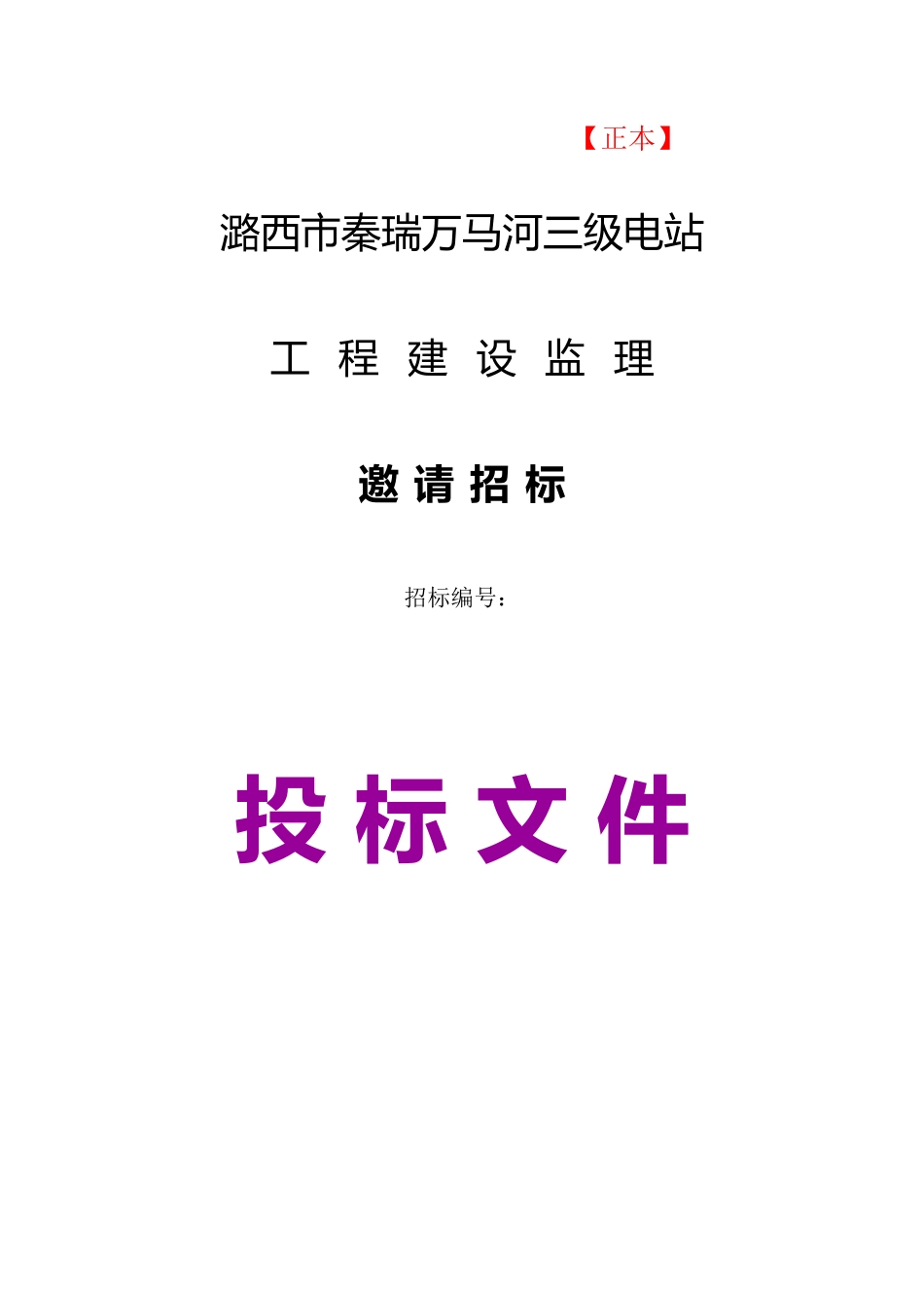 潞西市秦瑞万马河三级电站工程建设监理招标文件--监理投标文件_第1页
