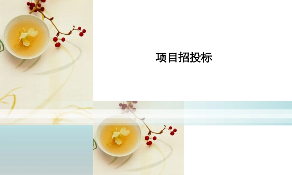 项目招投标--监理投标文件