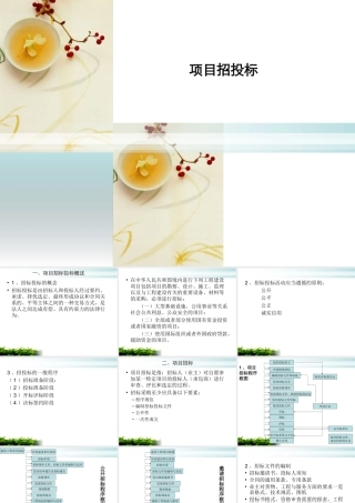 项目招投标--监理投标文件