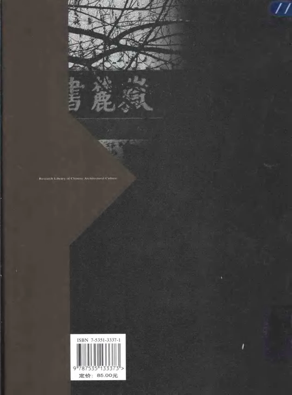 [中国书院文化与建筑].杨慎初&高介华.扫描版--传统建筑装饰艺术_第2页