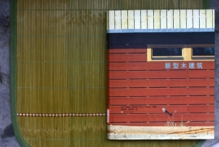 新型木建筑--传统建筑装饰艺术