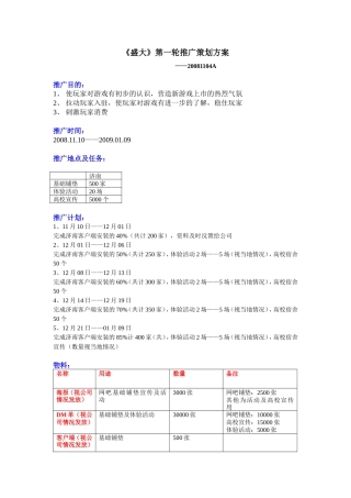 《盛大》推广策划方案