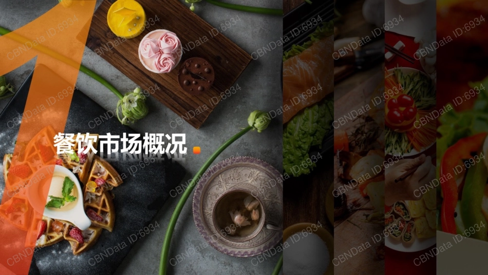 2017国民餐饮消费大数据报告(101页)_第3页