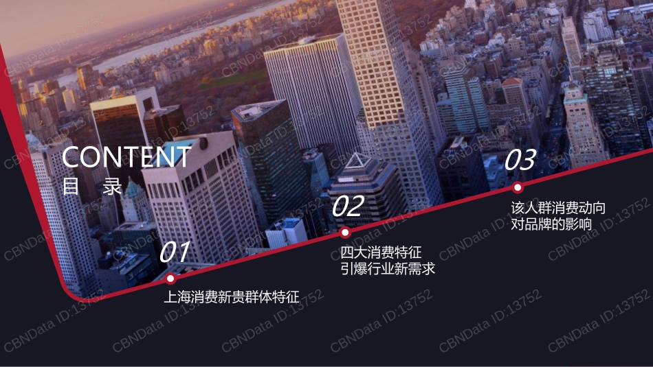 2017上海消费新贵大数据洞察(53页)_第3页