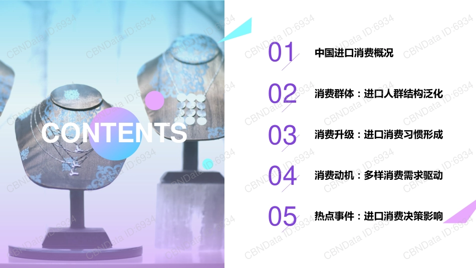 进口消费洞察报告_第2页