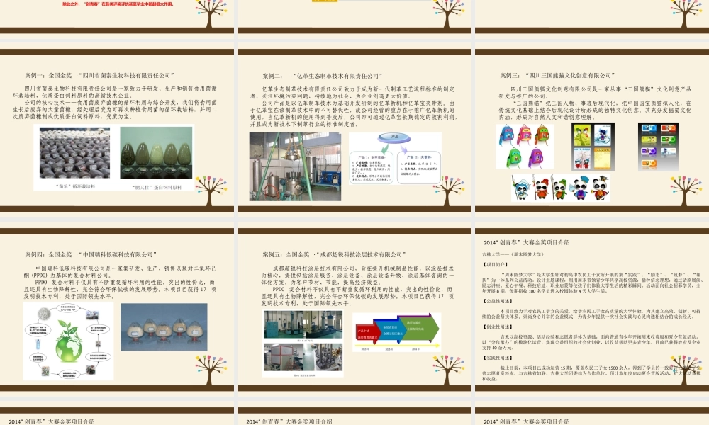 “创青春”大学生创业大赛集中培训