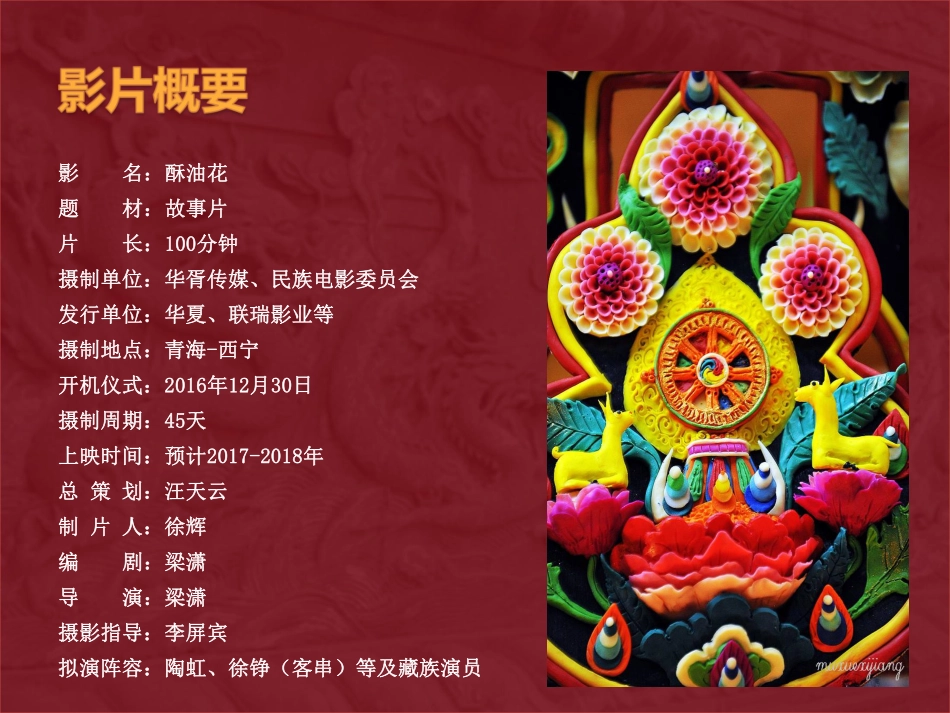 电影《酥油花》商业计划书_第2页