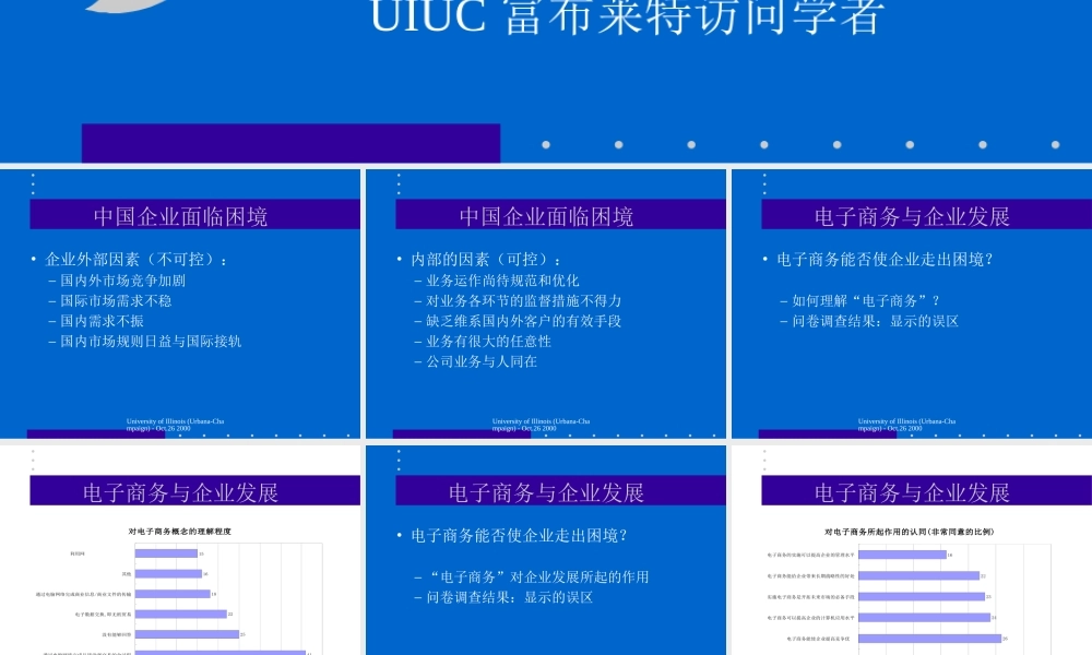 电子商务－建立世纪企业竞争优势
