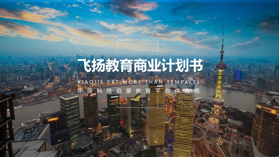 飞扬教育商业计划书_第1页