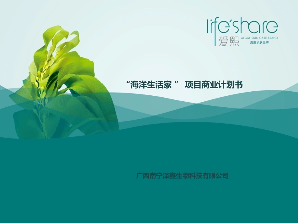 海洋生活家商业计划书_第1页